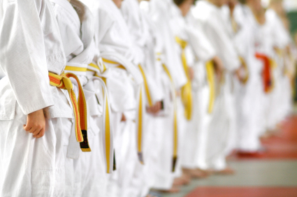 Martial Arts Insurance in Baton Rouge